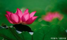 佛教：最好的风水其实在你自己身上