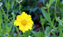 这3个星座的人，虽然很懒，但却是天生的“享福命”！