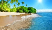 今后半个月财气侧漏，福禄无边的3生肖，事业一飞冲天，金银满库