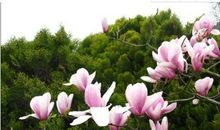 上半年的所有遗憾，在11月都能够得到弥补的星座，人生有了新开始