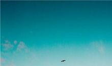 12星座的8月份“开运忠告”，非常重要！