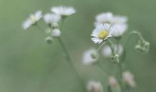 这些星座看得开，接受所有因为不爱而分开的理由，也能释怀