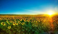 2019猪年出生的姓公门男孩怎么样起名字 姓公门男孩好名推荐(图文)