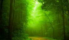 十二生肖中，本月25号起贵气横身，财来福也到，大获全胜的3生肖