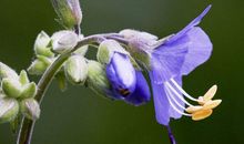 11月日进斗金财运旺，赚得千万财富的生肖，日子一天比一天富有