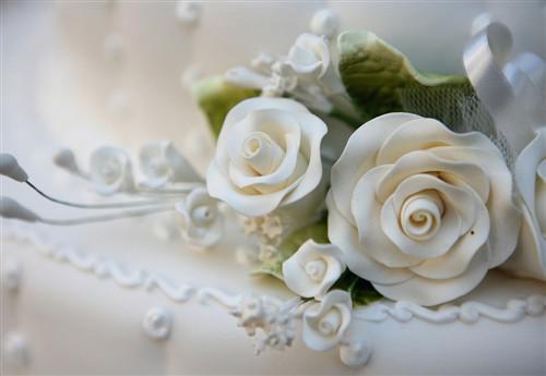 白玫瑰花语是什么，纯纯的爱适合给暗恋的人