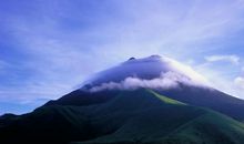 2号鸿运八方来，财富蓬勃发展，事业稳健上升的四生肖