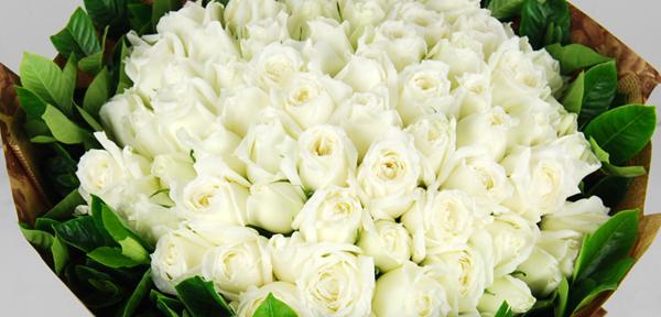 白玫瑰花语是什么，纯纯的爱适合给暗恋的人 1