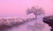 11月飞黄腾达，一顺百顺的四大生肖，注定富贵平安