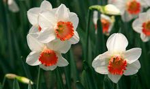 2019猪年出生的乐正姓男孩怎么样起名字 姓乐正男孩好名推荐(图文)