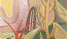 右边下巴有痣女人面相