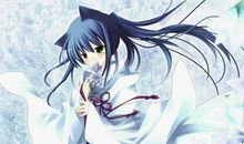 10月下旬，天天忙着数钱，时来运转，先走运后发财的三星座