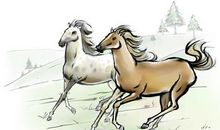 这三个生肖女，天生公主命，今生福气满满