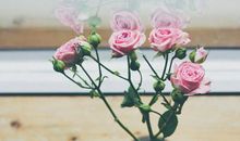 “命中藏金”的3生肖女，生活无忧无虑，终生不为钱财烦恼