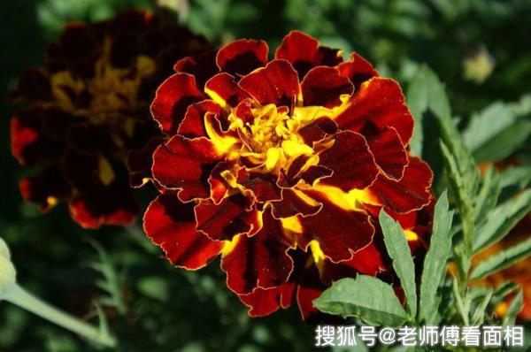 10月底开始如愿赚到大钱，运势飙涨，万事一顺百顺的四个生肖！ 2