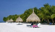 3生肖，大喜从天降，要权得权，要钱有钱，2019想不富都难