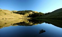11月运势一路走高，咸鱼大翻身，摆脱霉运的四大生肖