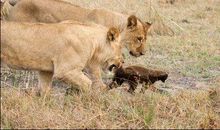 手掌中间凹陷的人好不好，可以大富大贵吗