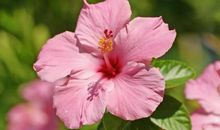 3生肖，大喜缠身、财运大涨，下半年横财滚滚来，生活不为钱操心