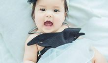 狗宝宝取名大全2018款女孩(图文)