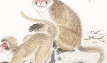 3大生肖在工作上有创新思维，容易获得更多贵人支持