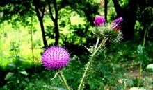 苦尽甘来熬出头，2020年运势不俗，添丁添财福气旺的3大生肖