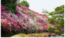 破财运终结！本月底“禄神”庇佑，3生肖财路通达，赚得满堂红