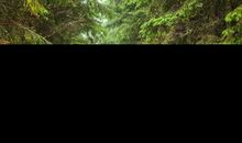 下周开始，运势喜洋洋，备好麻袋装大钱，3生肖，喜事接二连三，买彩票中大奖