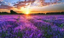 最值得双子座付出真心的，就是这些星座，相爱有结果