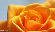 11月4号开始傻人有傻福，四生肖顺利又如意，生活上无忧无虑!