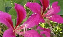 2019年横财滚滚进门，钱财汇聚如金山的生肖，生活潇洒似神仙