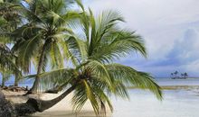 2019猪年出生的别姓男孩怎么样起名字 姓别男孩好名推荐(图文)