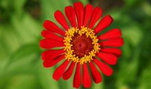 11月3号开始3生肖在贵人的鼎力相助之下，财利兼得，非富即贵