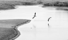 三生肖女娶到以后婚姻幸福，家运兴旺发达