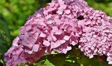 2000年的何时运气不佳(图文)