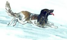 这三个生肖将成为人上人，十人九福，富得流油