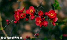 10月19号开始势必财源广进，这四生肖身价水涨船高，有横财加身!