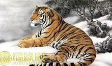 给虎宝宝取什么名好