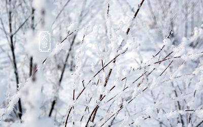 2019年大雪节气可以理发吗？大雪节气时辰宜忌表(图文) 1