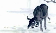 莫欺少年穷，这三个生肖先穷后富，年龄越大越富有