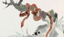 未来10天好消息袭来，这三个生肖笑不拢嘴！