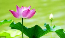 12月将至，心情豁然开朗，好事接二连三的3生肖，万事顺遂