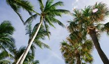 原创 9月运势高升，万事如意，好运不离身，财源滚滚，收入颇丰的属相