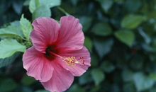 财神点大名：28号后，用麻布袋装大钱，3生肖不得了，时来运转、喜事成双