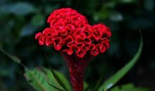 你爱我一分钟，我爱你十年三大星座，爱就要爱到底！