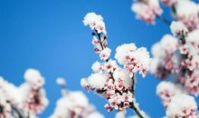 “最容易心软”的3生肖，不懂得拒绝别人，一辈子都在忍气吞声