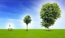 26号后，迎财神进门，大喜天降，金银滚滚来，横财数不请的三大属相