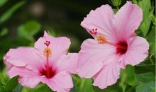 10月30、31号，迎财神进门，100%特大好消息，3生肖时来运转，财气一飞冲天