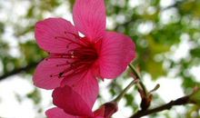 下周摆脱衰运，生活光芒万丈的生肖，天天有钱进，一生有钱不缺钱