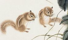 最会管老公的3生肖女，把丈夫管的服服帖帖，夫妻俩也早日发财